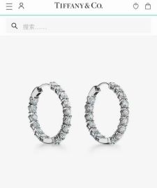 Picture of Tiffany Earring _SKUTiffanyearringlyh1715441